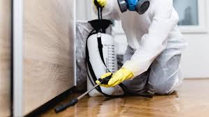 Best Pest Prevention Services  in San Fernando, CA